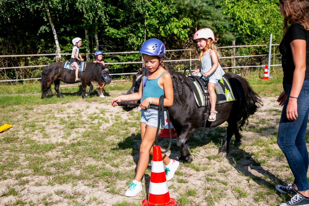 Reittherapie Kinder Gruppe auf dem Pferd Shetlandpony führen