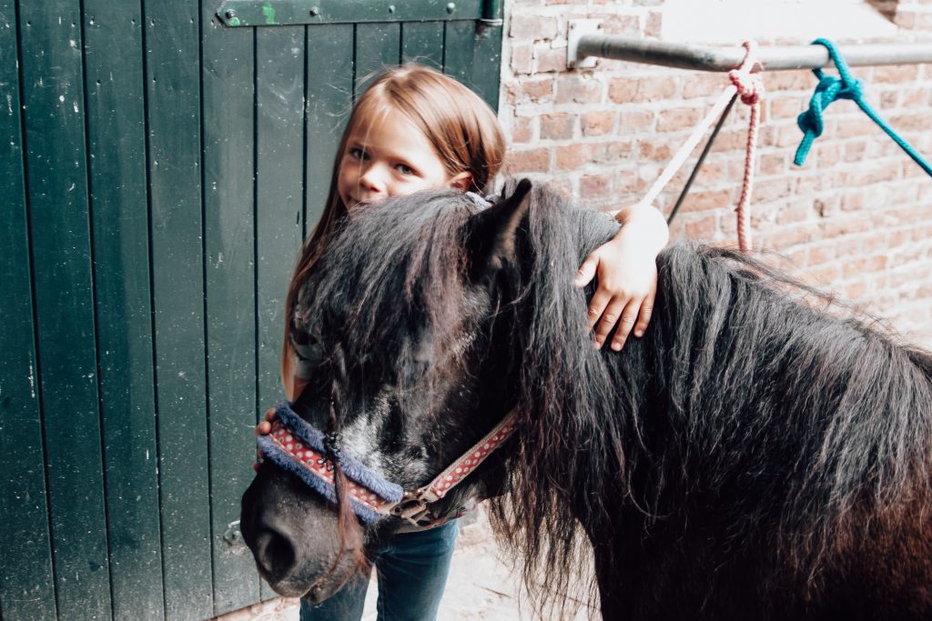 Tochter schmust mit Shetlandpony Pony Putzen